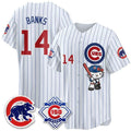 Chicago Cubs #14 Ernie Banks Pinstripe White Thaam Meow KT All Stitched Jersey