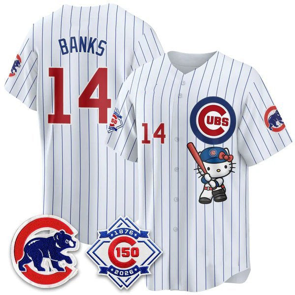 Chicago Cubs #14 Ernie Banks Pinstripe White Thaam Meow KT All Stitched Jersey